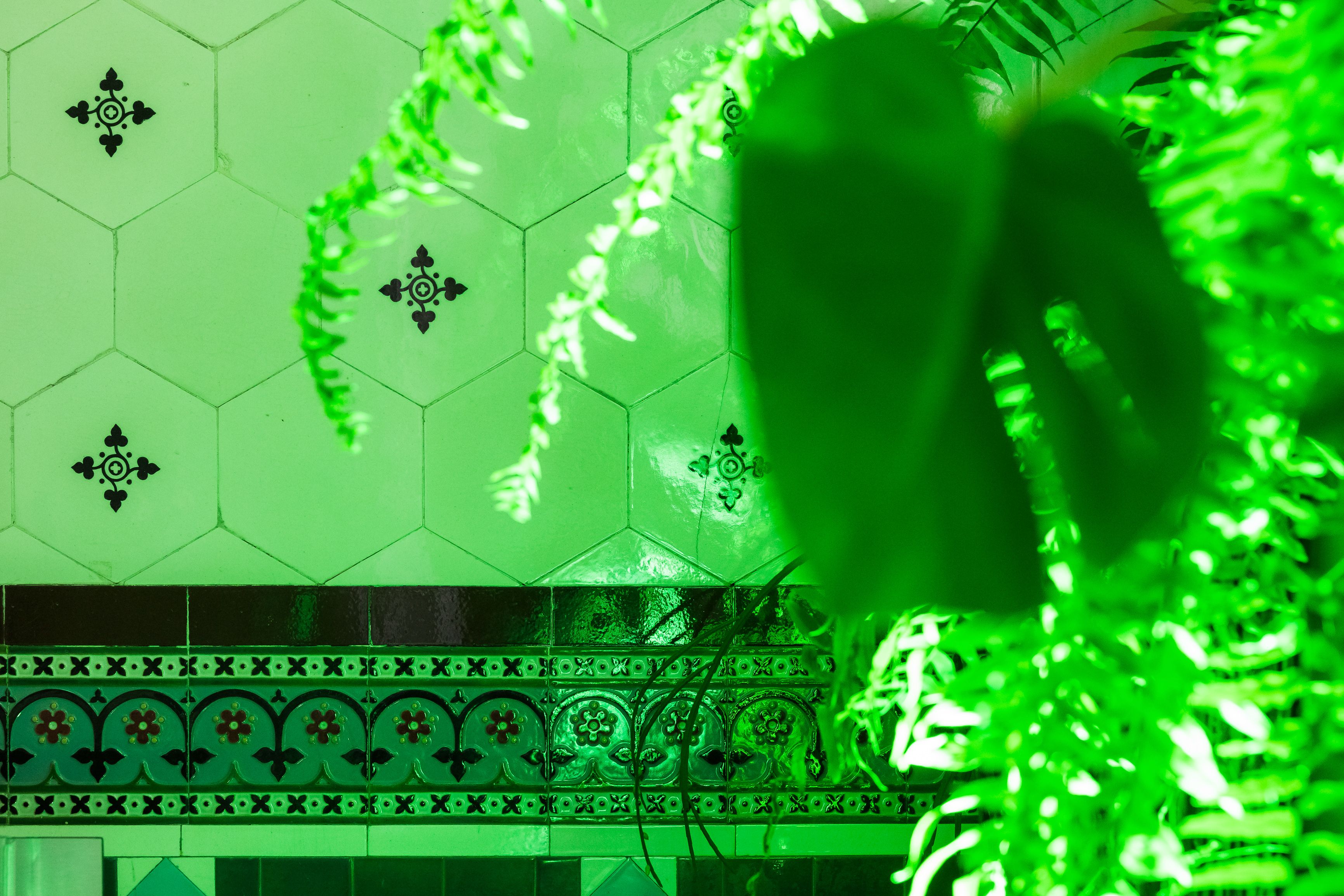 VRC Art Series - exhibition design, event and production - Labassa Mansion, Caulfield