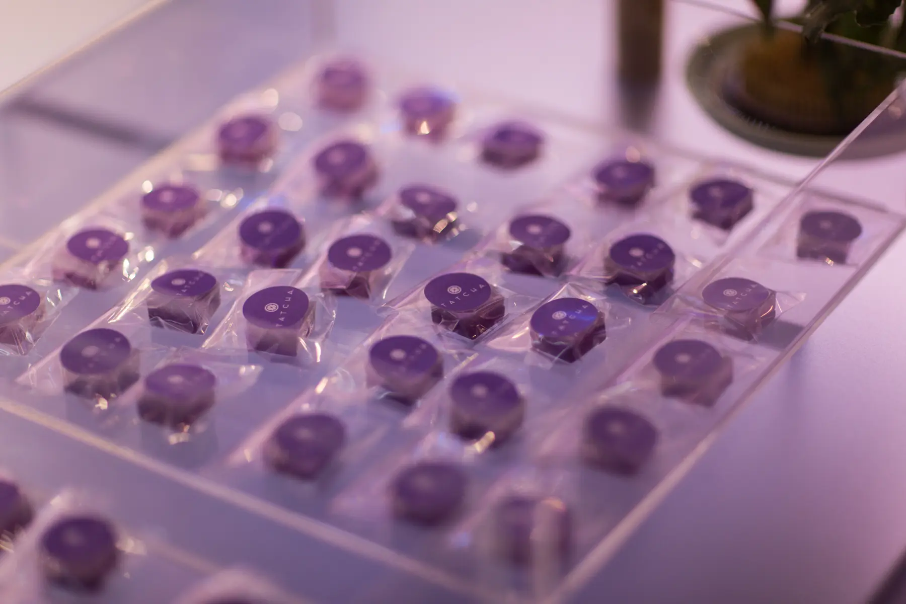 Meccaland Tatcha Booth